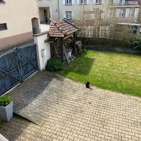 Calme Et Cosy - Village Viticole - Route Du Vin Traenheim