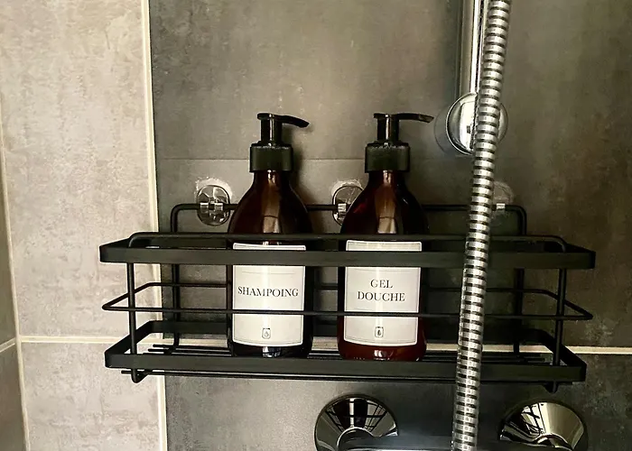 Apartment Calme Et Cosy - Village Viticole - Route Du Vin Traenheim