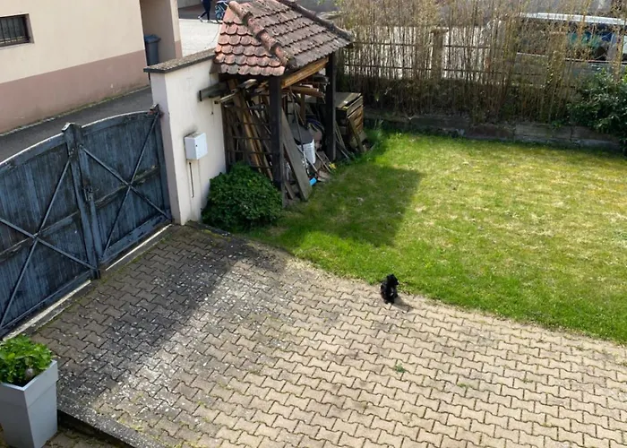 Calme Et Cosy - Village Viticole - Route Du Vin Traenheim